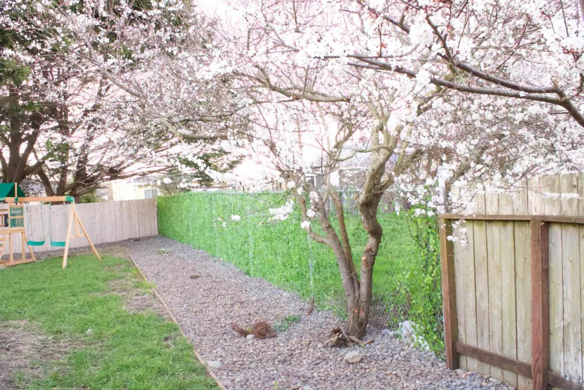 Private Home - Playground, Jumping Mat, Bbq, Darts, Firepit, Gazebo, 4 Smart Tvs, White Cotton Bedding, - The Redwood Cul-De Sac Beach Retreat Crescent City Zewnętrze zdjęcie