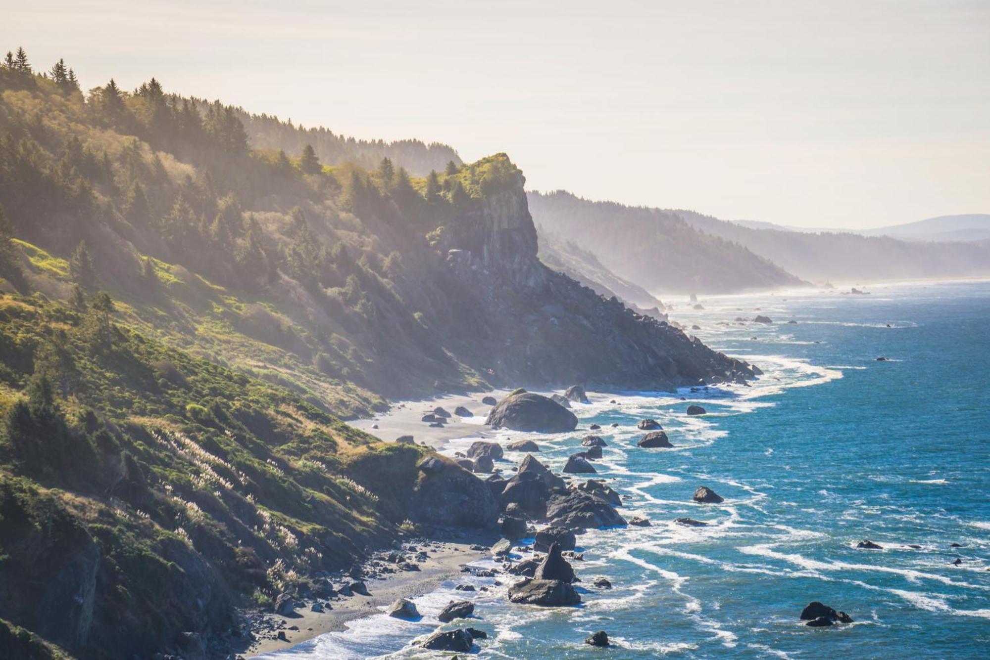 Private Home - Playground, Jumping Mat, Bbq, Darts, Firepit, Gazebo, 4 Smart Tvs, White Cotton Bedding, - The Redwood Cul-De Sac Beach Retreat Crescent City Zewnętrze zdjęcie